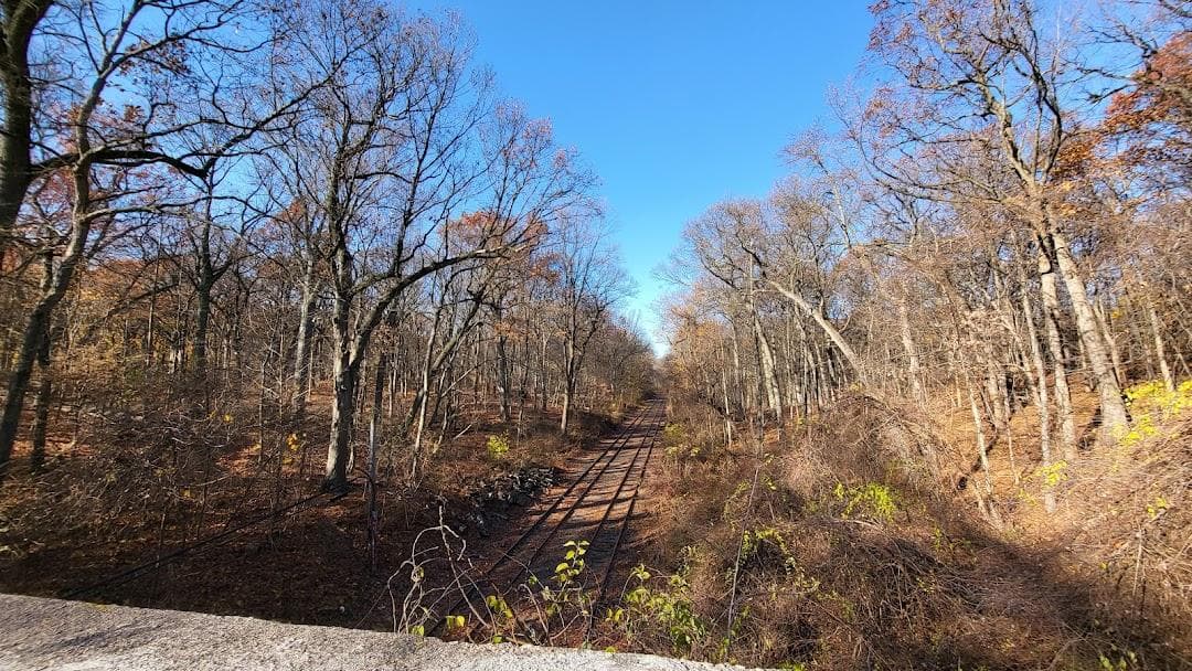 Forest Park Drive photo 1