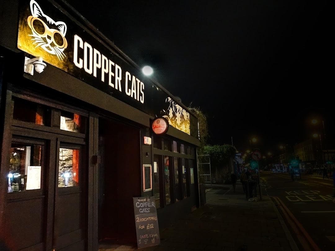 Copper Cats photo 4