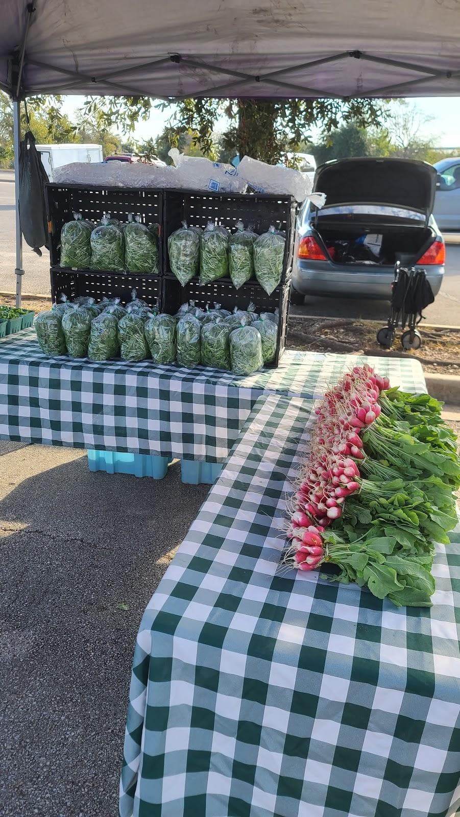 Lakeline Farmers Market photo 1