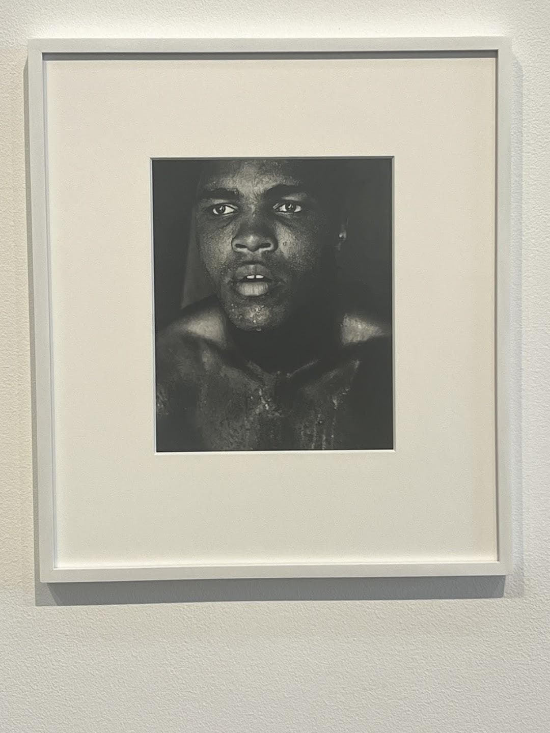 Pace Gallery photo 4
