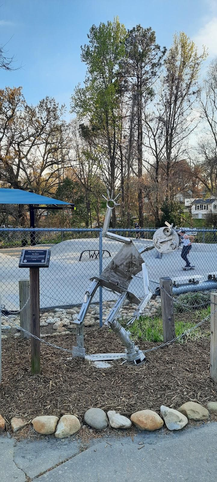 Waxhaw Skatepark and Playground photo 5