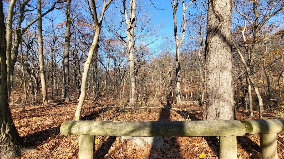 Forest Park Drive photo 2