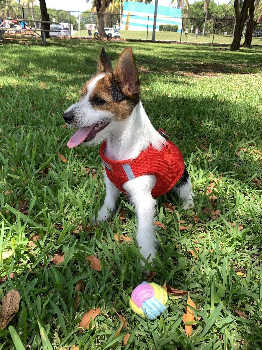 Humane Society of Broward County photo 4