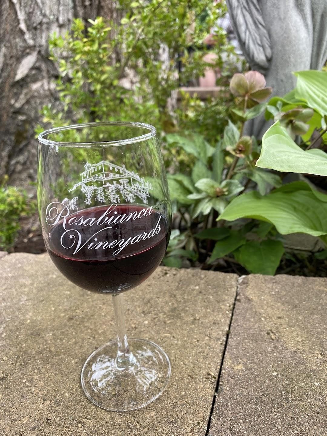 Rosabianca Vineyards photo 1