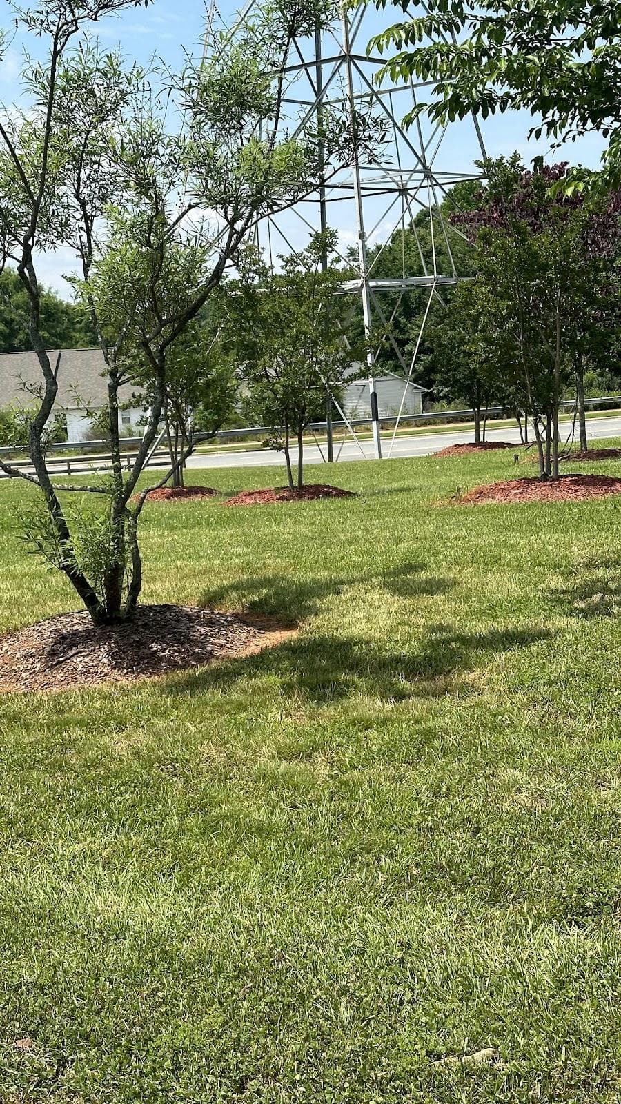 The Green at Prosperity Village photo 5