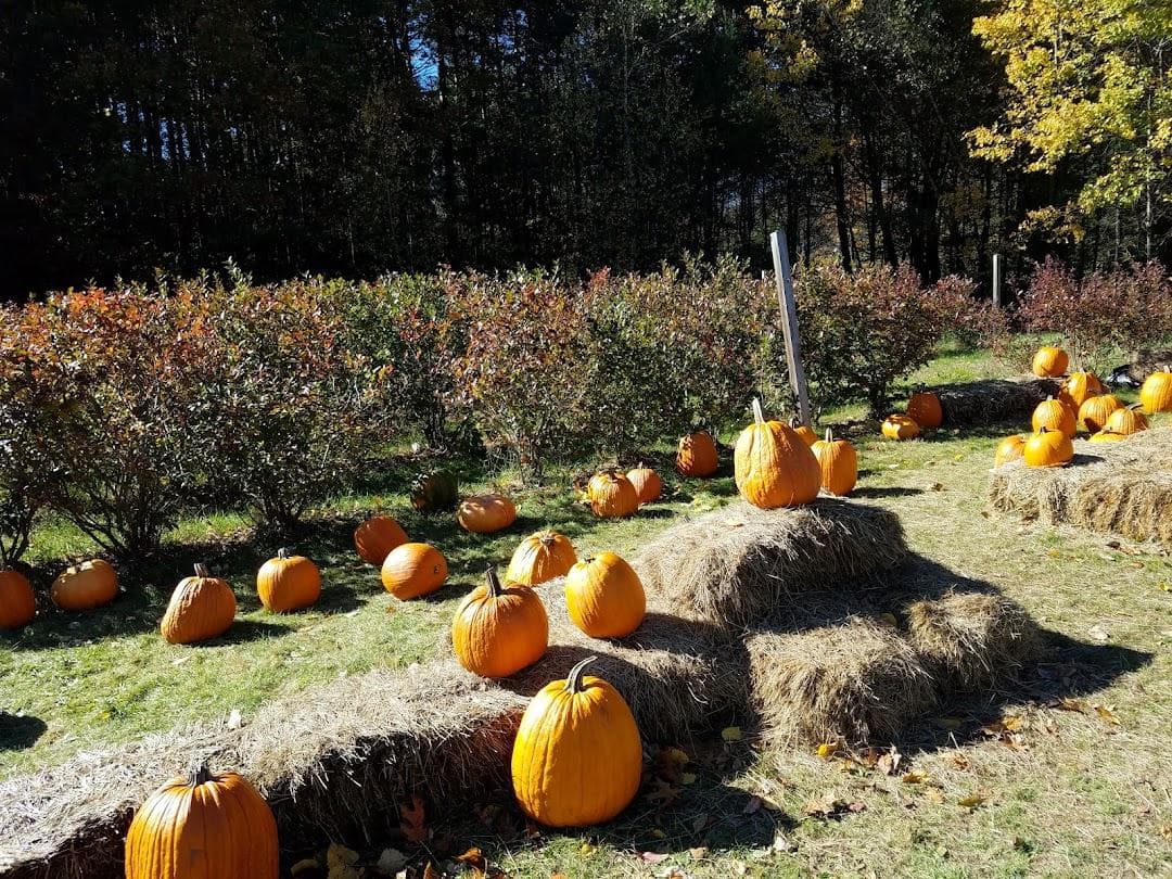 Carver Hill Orchard photo 4