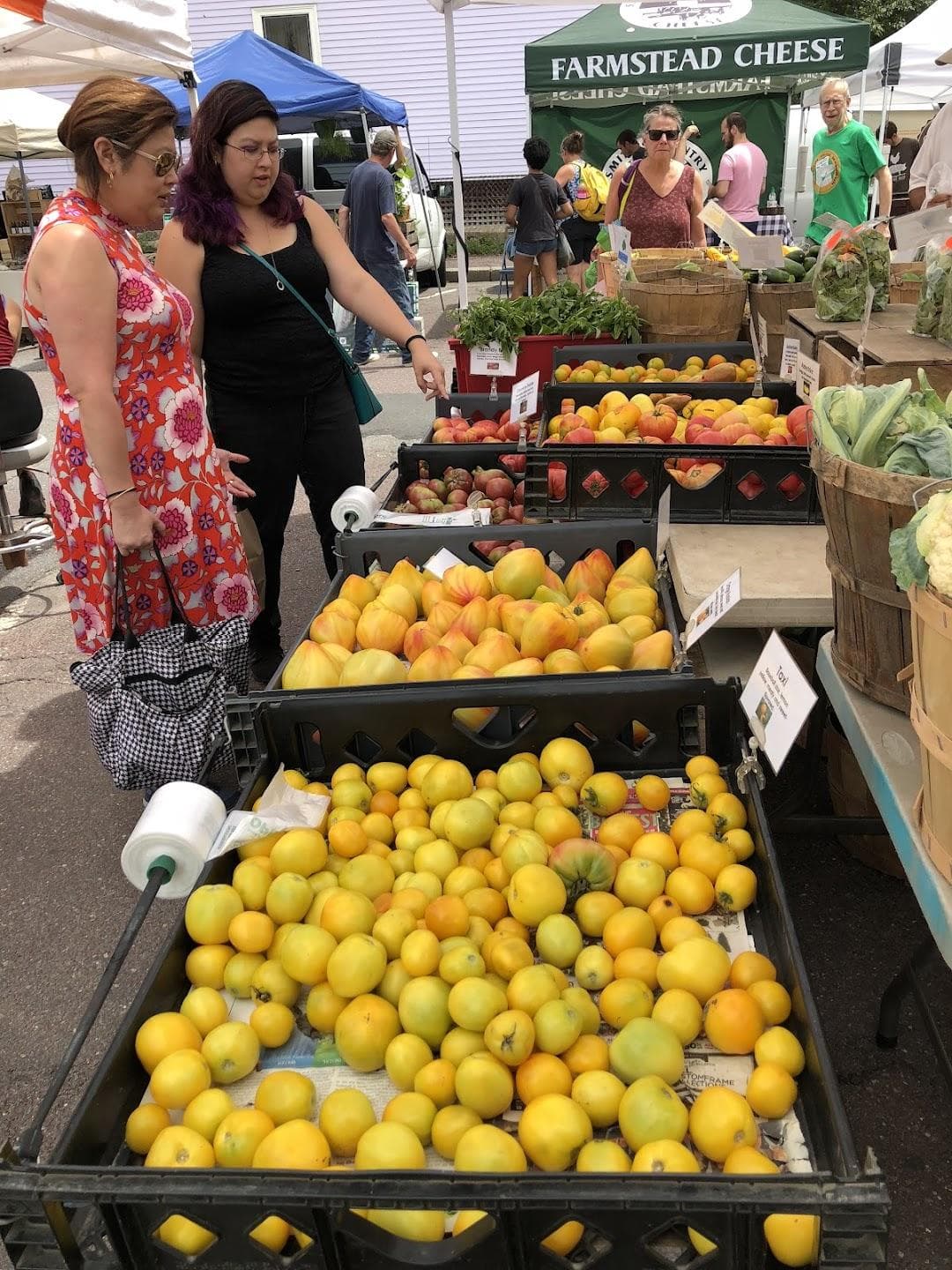 Davis Square Farmers Market photo 4
