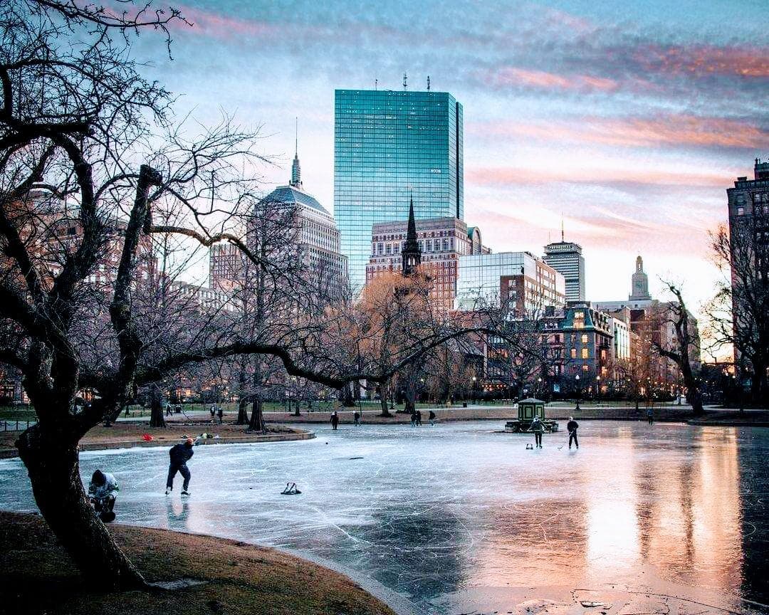Frog Pond photo 3