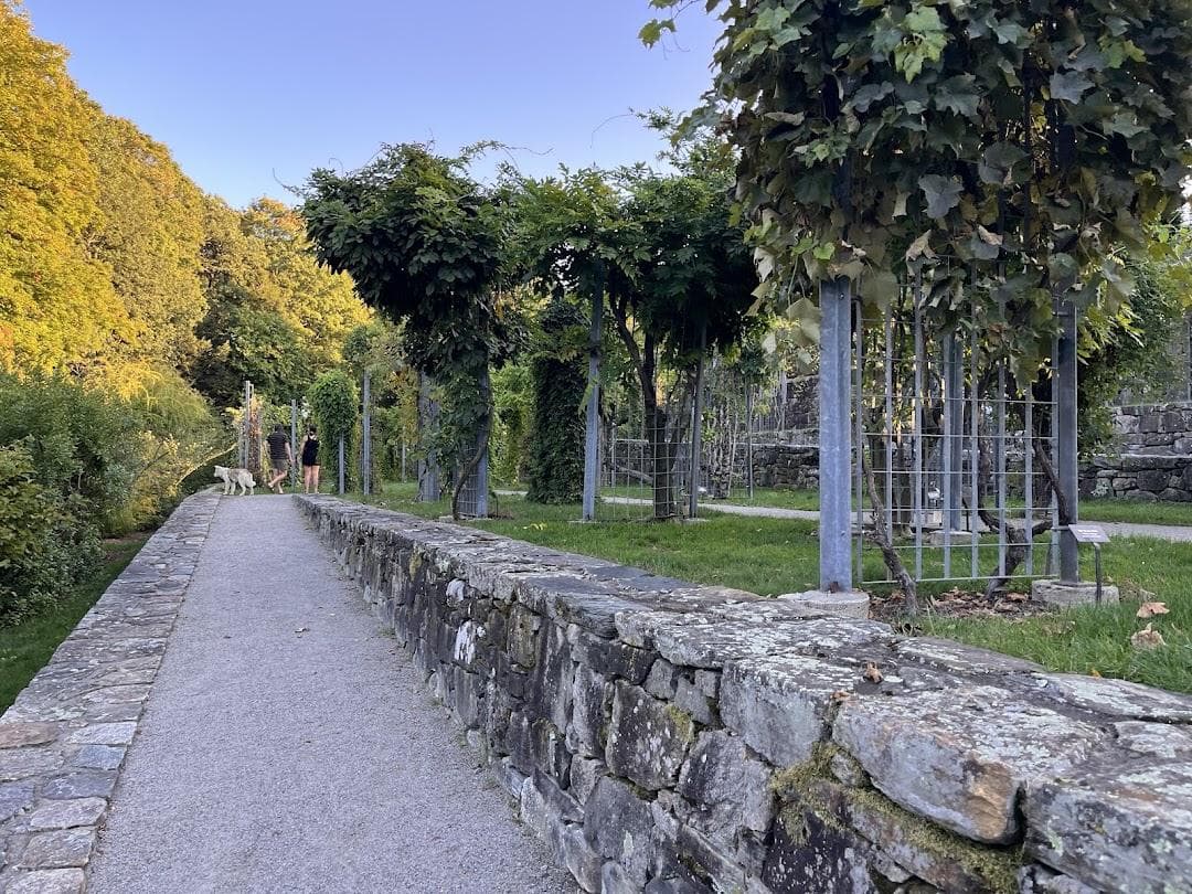 Leventritt Shrub & Vine Garden photo 5