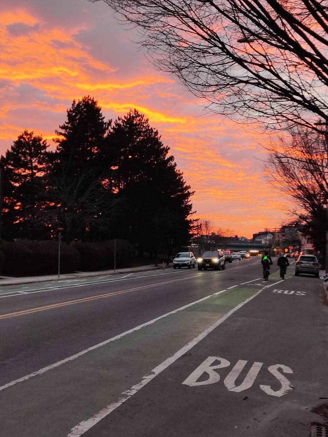 Somerville photo 6