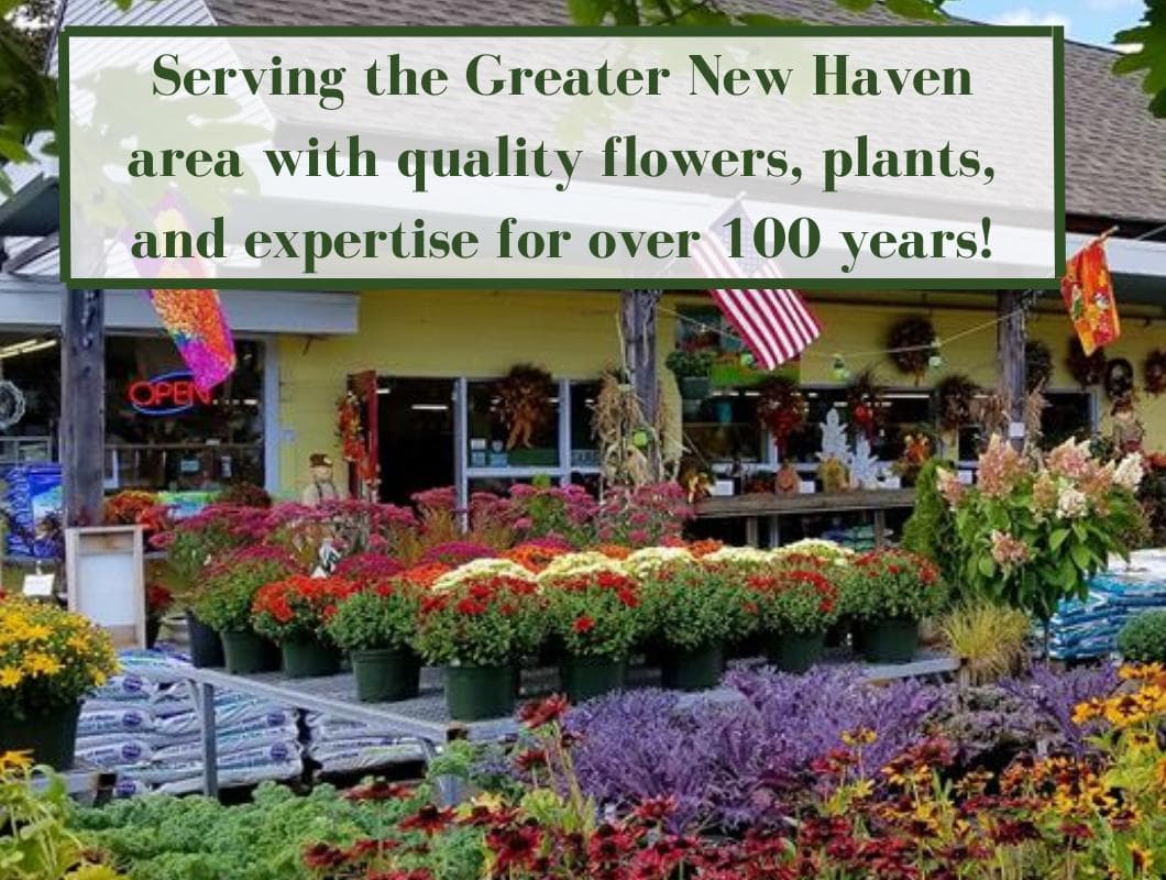 Cheshire Nursery Garden Center and Florist photo 6