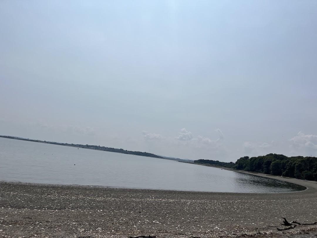 Thompson Island photo 3