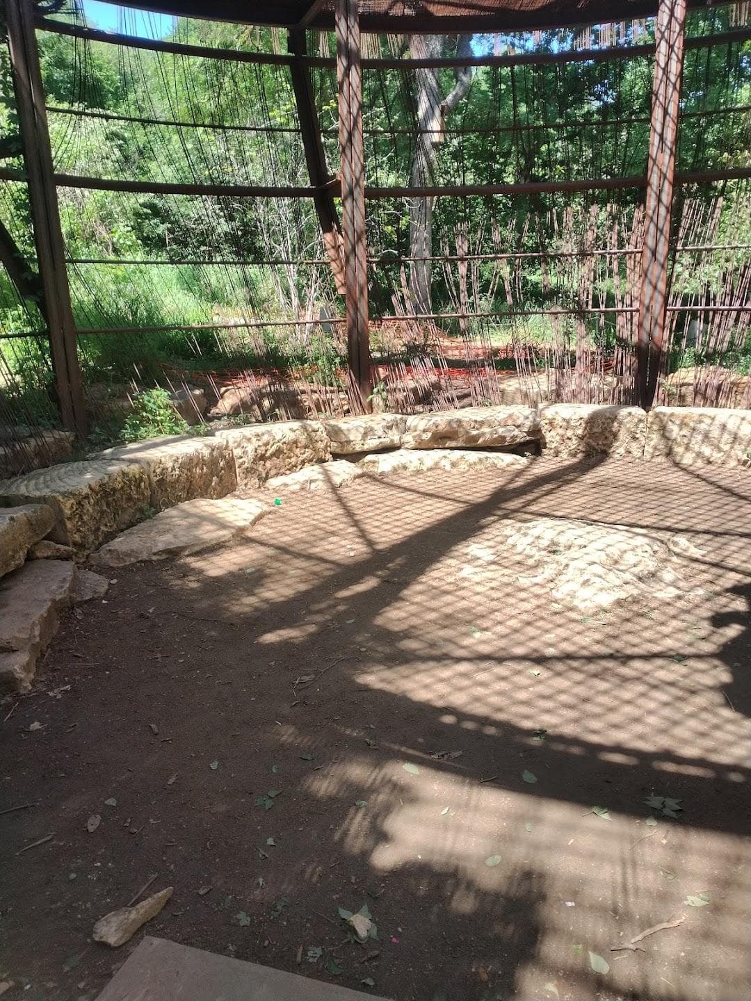 Pease Park Treehouse photo 5