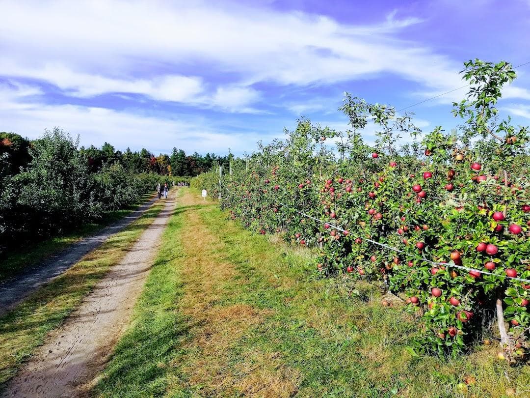 Carlson Orchards, Inc photo 4