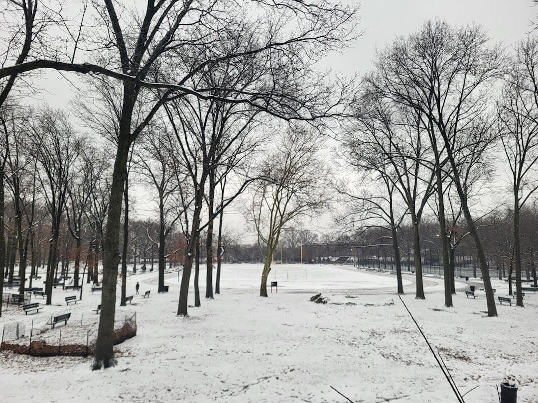 Williamsbridge Oval photo 2