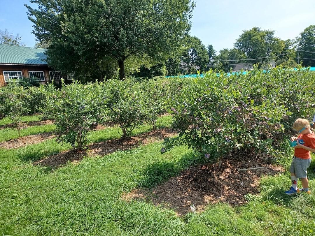 Honey Pot Hill Orchards photo 6