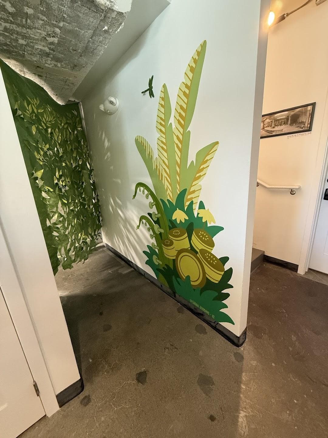 Cocoa Legato photo 4
