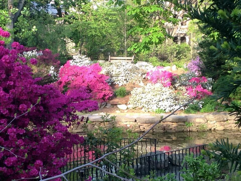 Biopond photo 4