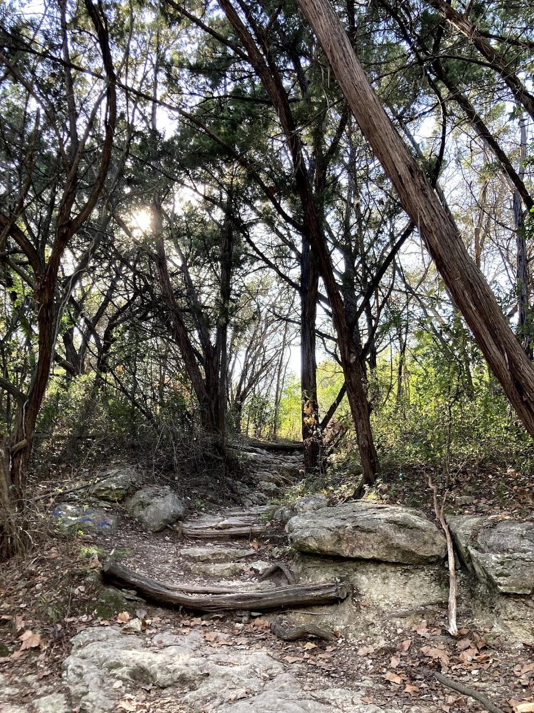 Blunn Creek Nature Preserve photo 5