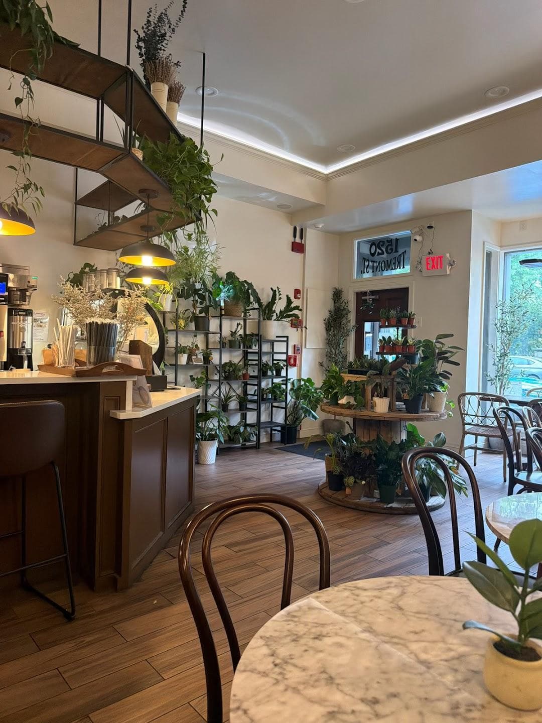 Green Haus Cafe photo 6