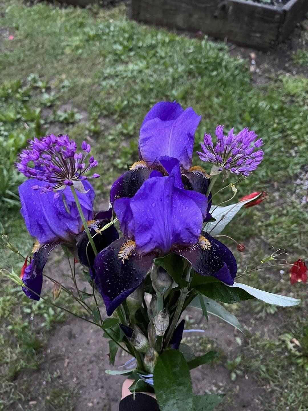 Patchen Community Square Garden photo 2