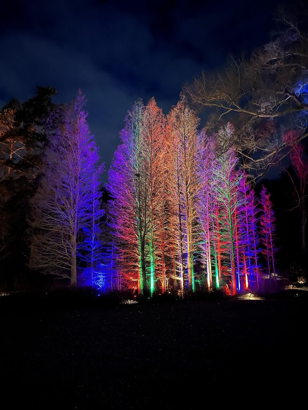Longwood Gardens photo 2