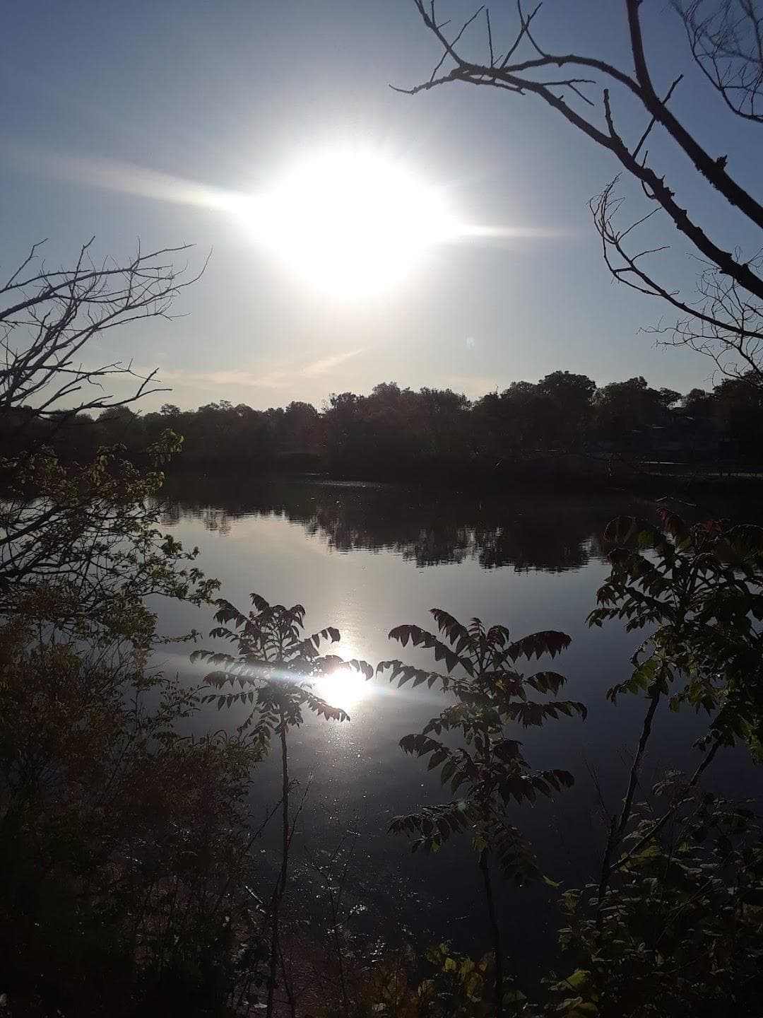 Bloomfield photo 3