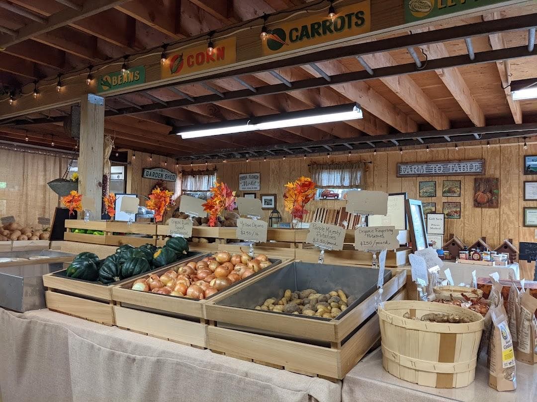 Morgan's Farm and Museum photo 4