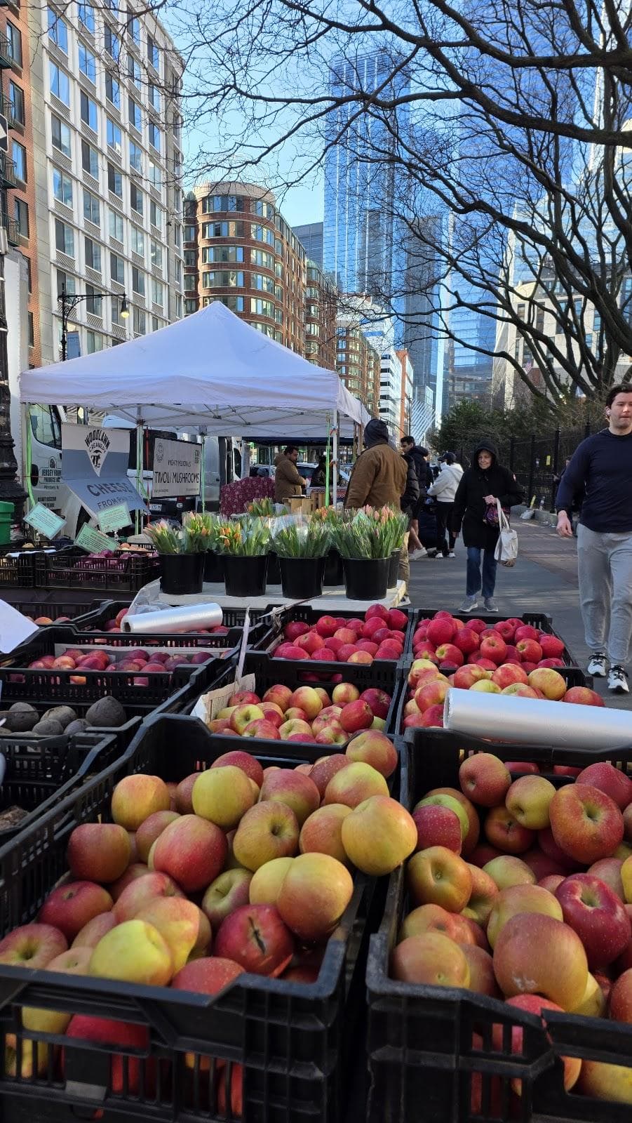 Tribeca Greenmarket photo 5
