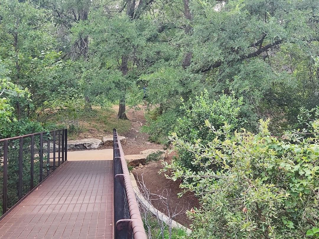 Pease Park Treehouse photo 6