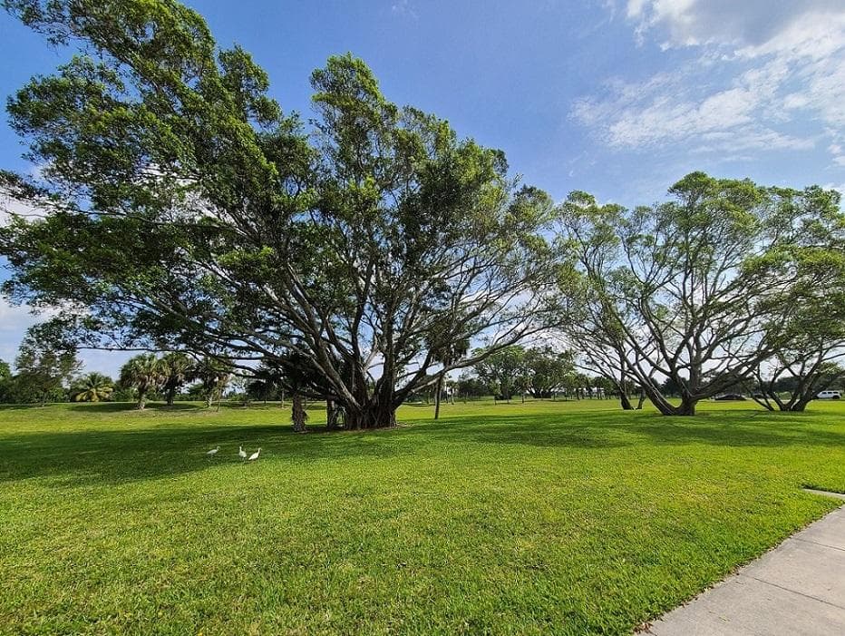 Commons Park photo 1