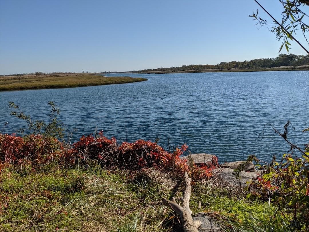 Marine Park photo 4