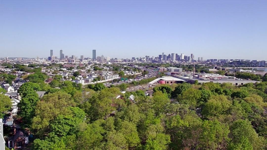 Savin Hill Park photo 5
