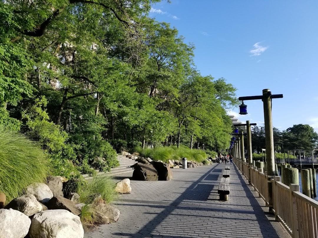 South Cove Park photo 4