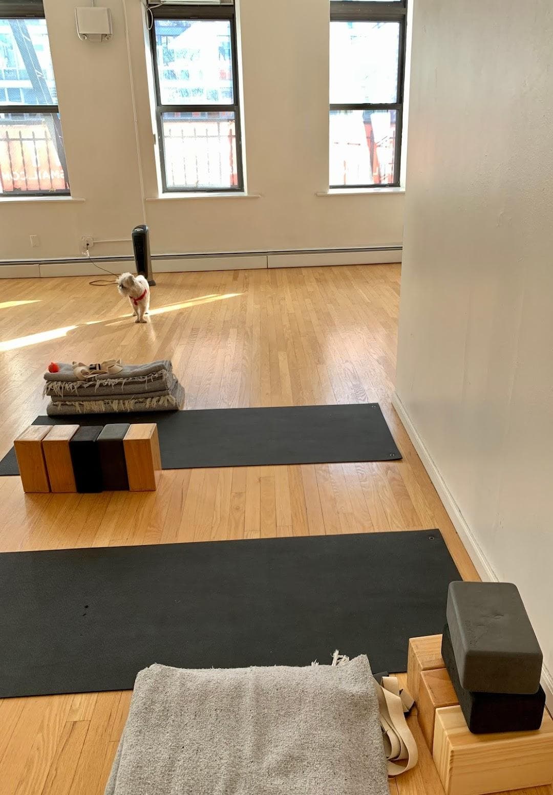 The Studio photo 1