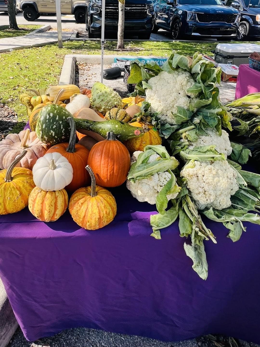 Deerfield Beach Farmers Market photo 6