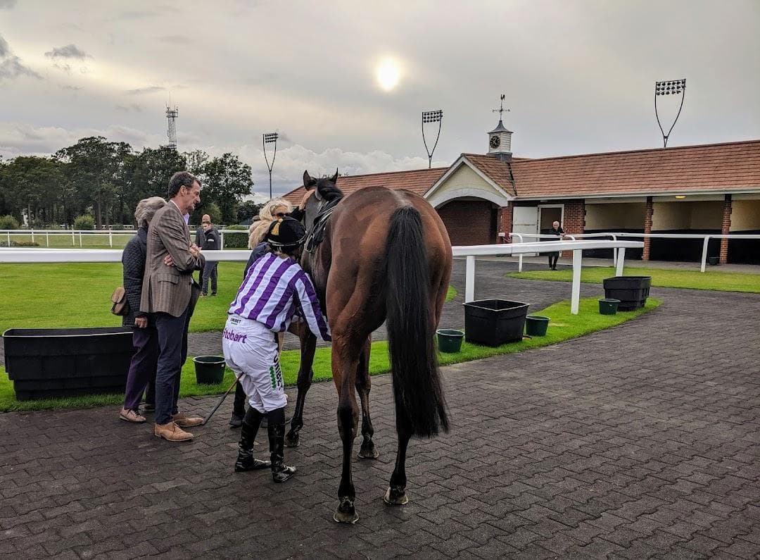 Chelmsford City Racecourse photo 5