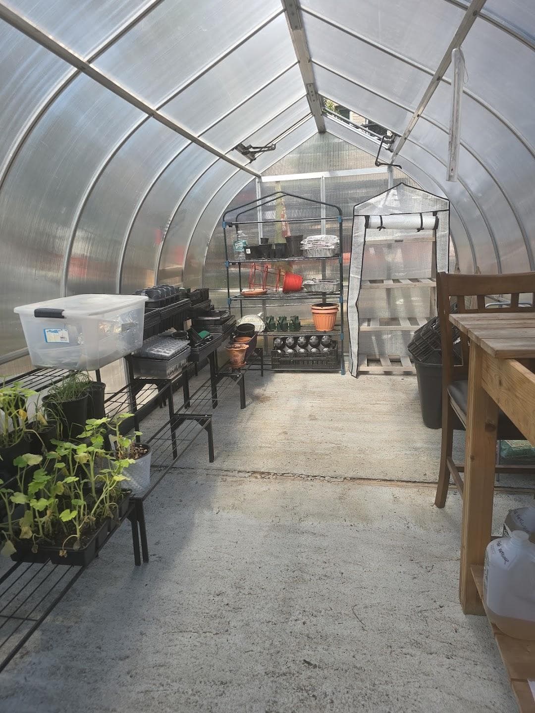 Fred McLeod Community Garden photo 3