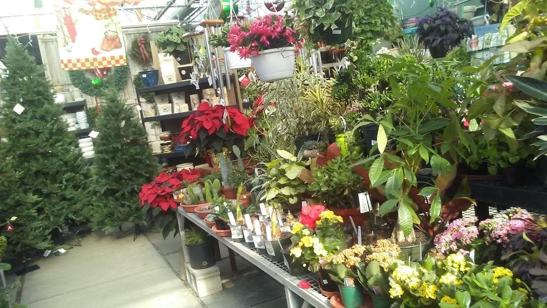 Cheshire Nursery Garden Center and Florist photo 3