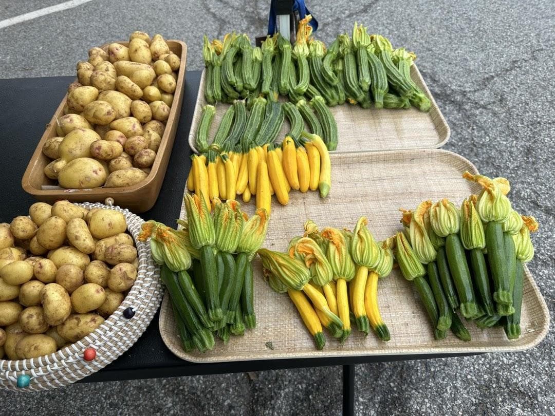Down to Earth Scarsdale Farmers Market photo 4