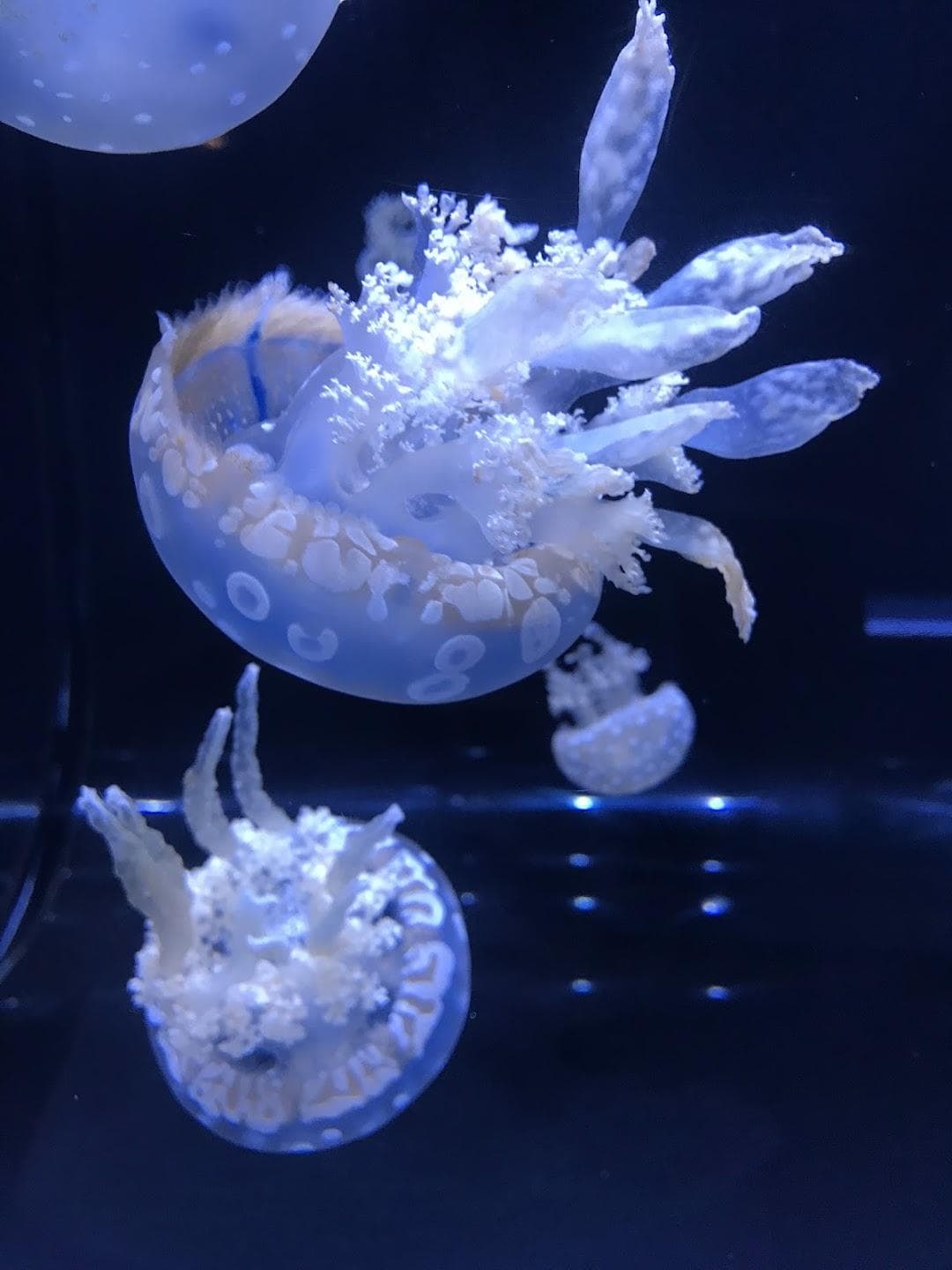 Phillip & Patricia Frost Museum of Science photo 6
