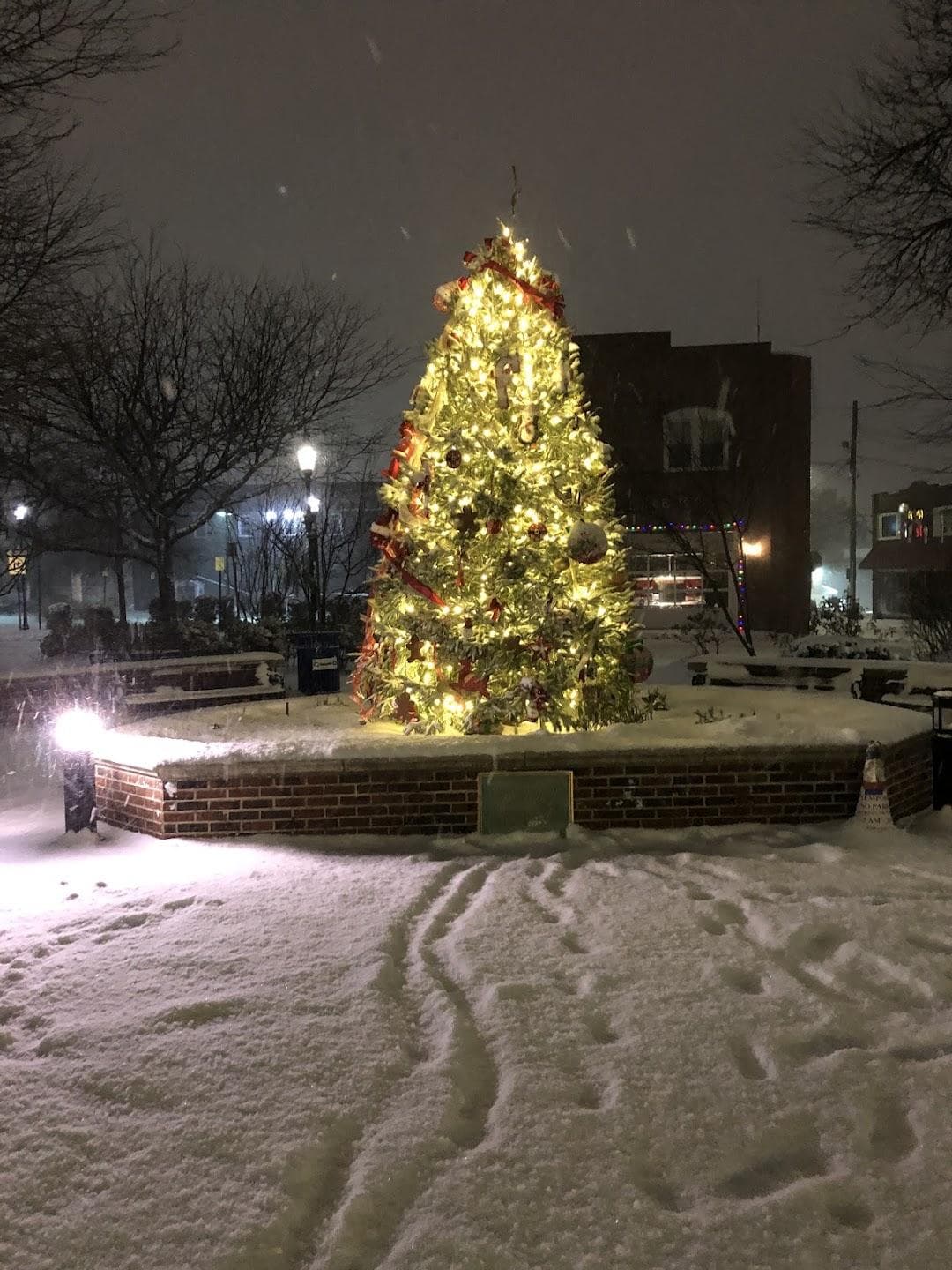 Jenkintown Square photo 3
