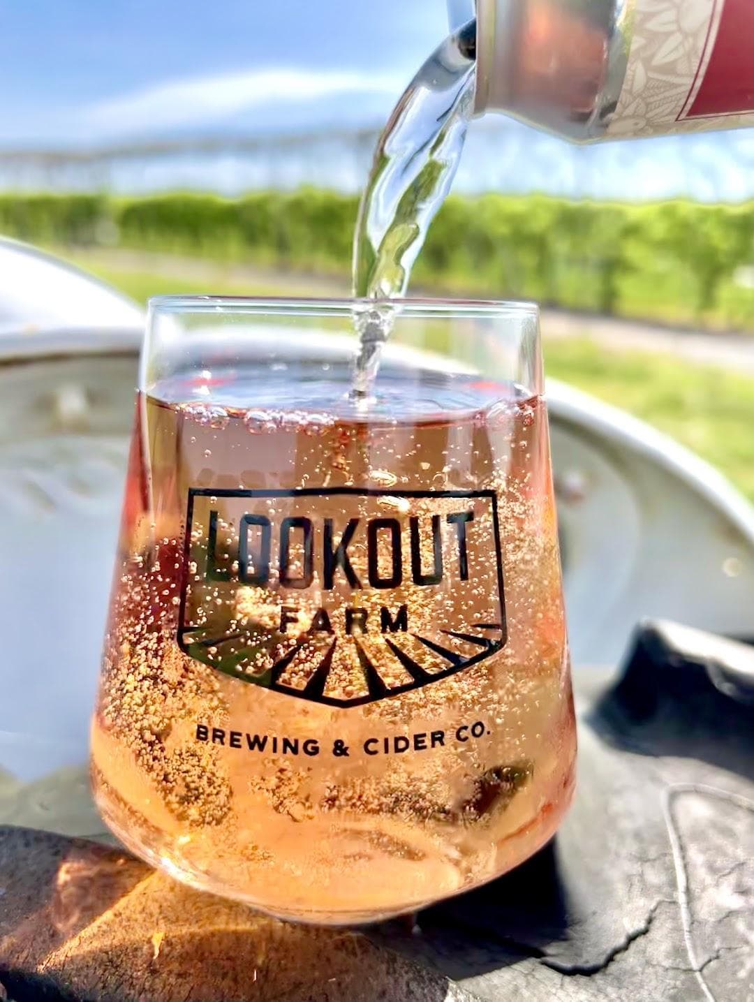Belkin Family Lookout Farm - U-Pick Orchard - Taproom, Outdoor Dining and Market photo 6