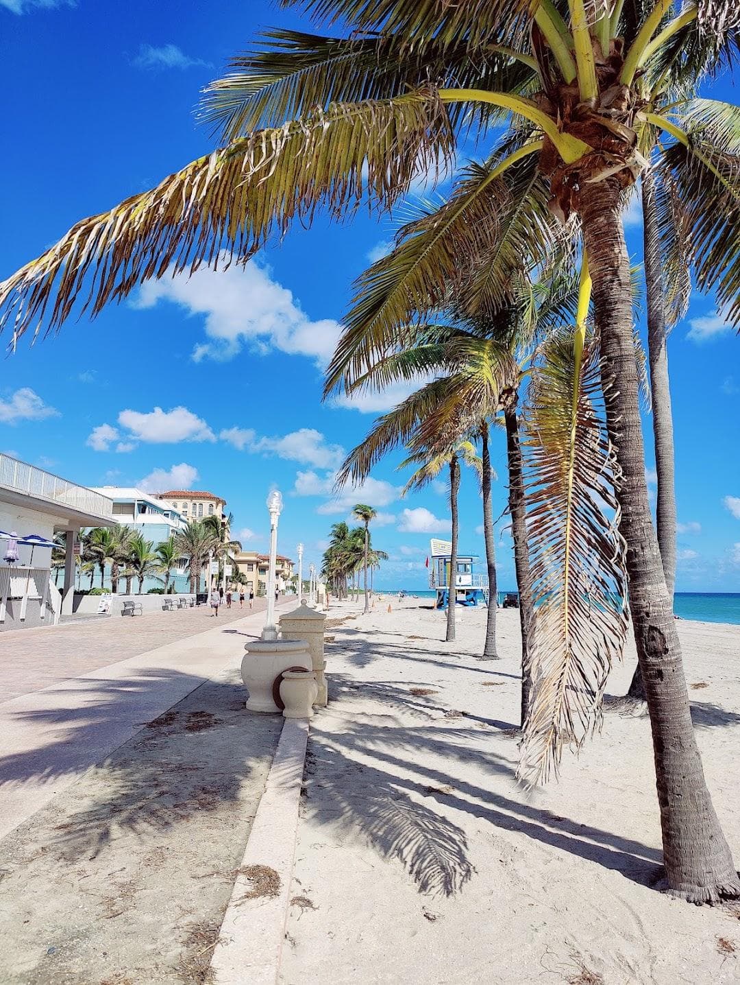 Hollywood Beach Broadwalk photo 4