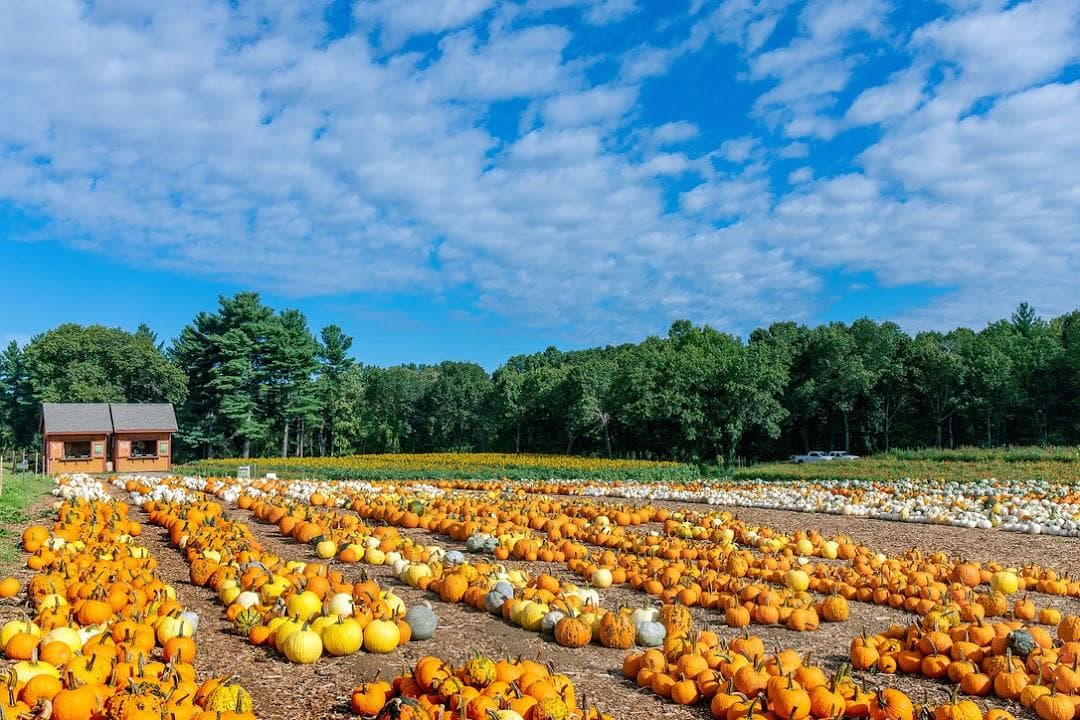 Parlee Farms photo 1