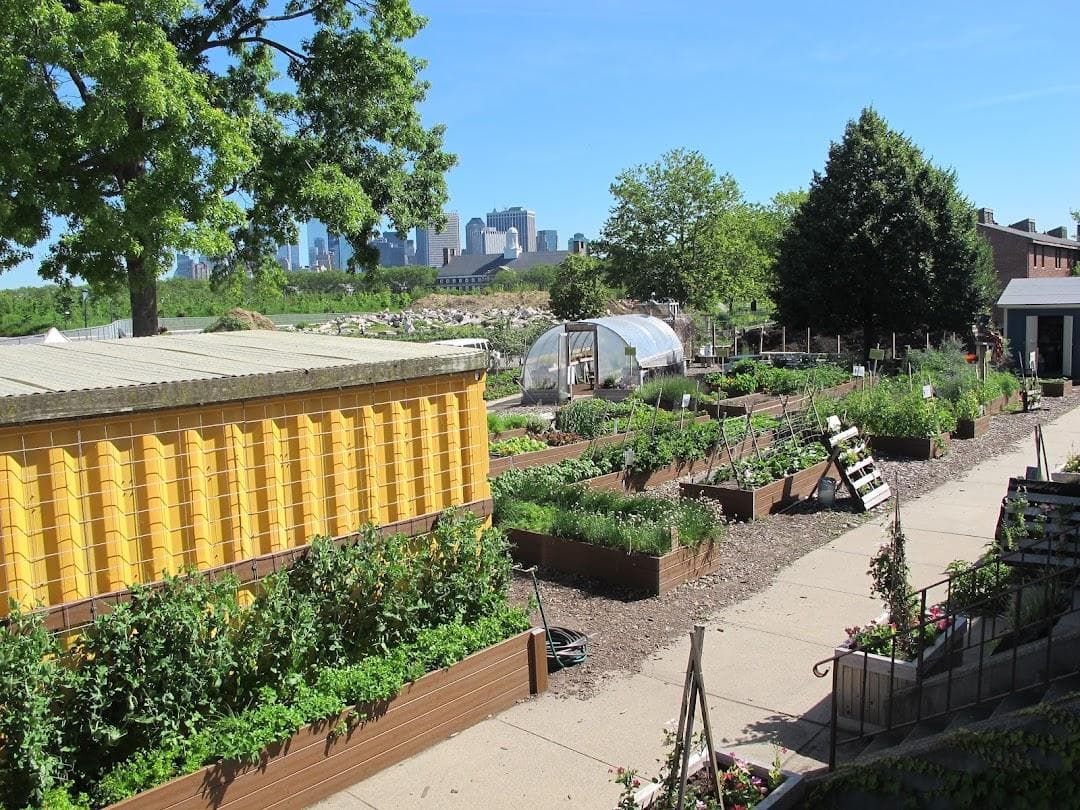 Governors Island Teaching Garden photo 5