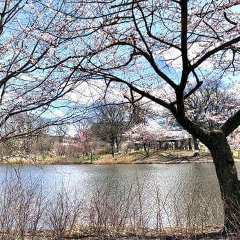 Clark Park photo 2