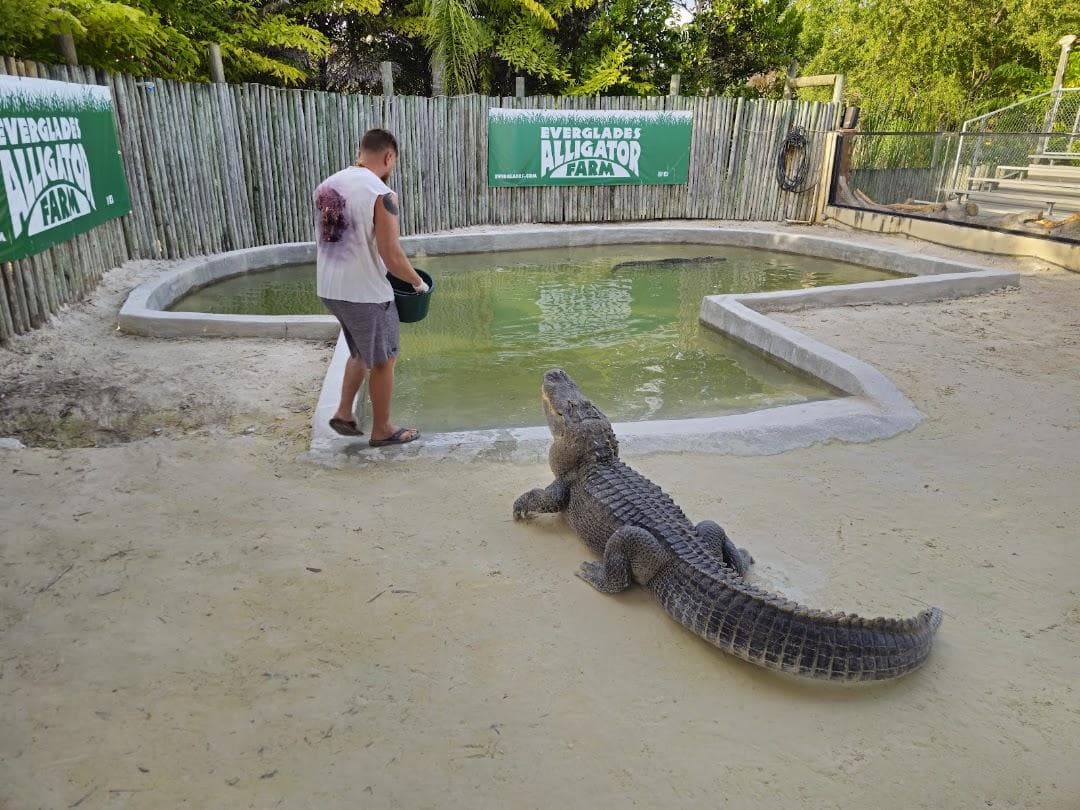 Everglades Alligator Farm photo 3