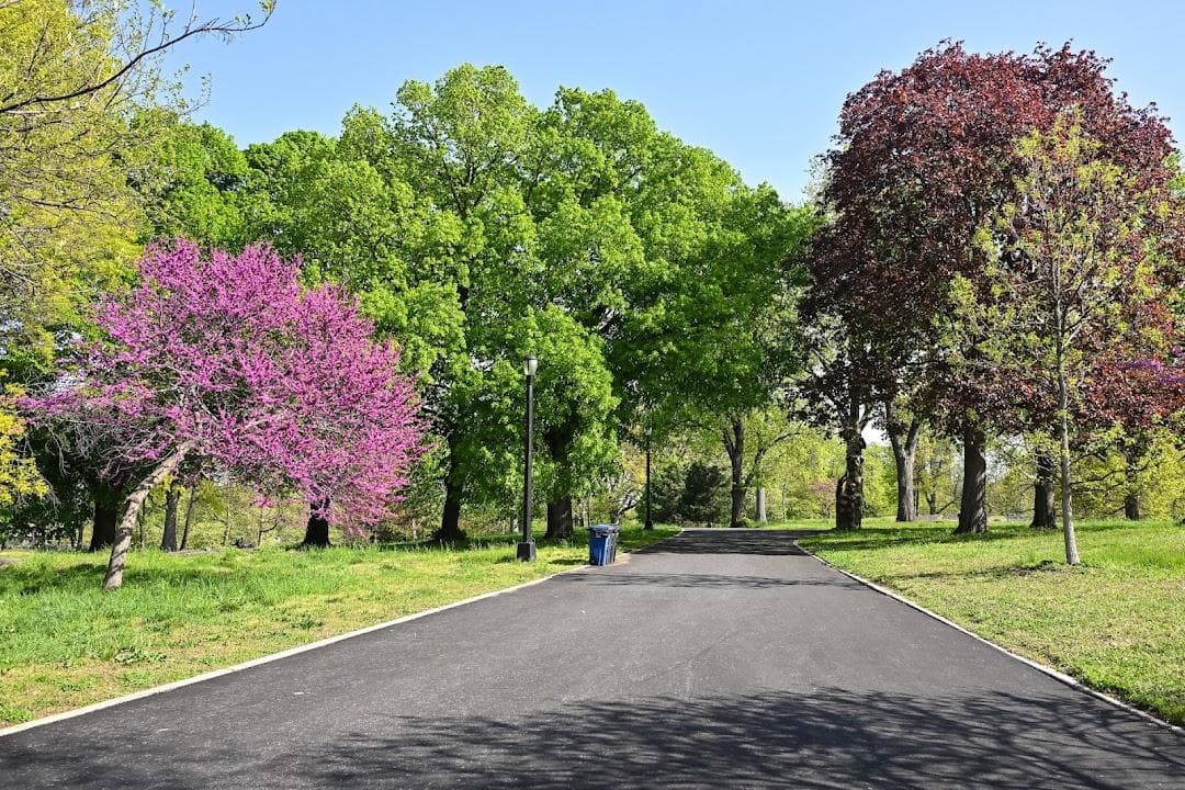 Crotona Park photo 3