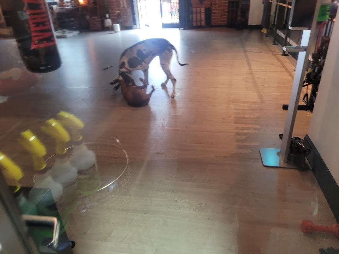Functional Fit Charlotte photo 1